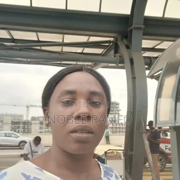Housekeeping Services - Hardworking Single Mother - 1