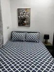 Furnished 1-Bedroom Apartment for Rent in Tse Addo - 4