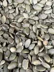 Pumpkin Seeds - 3