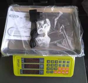 Brand New Electronic Platform Scale - 30kg Capacity