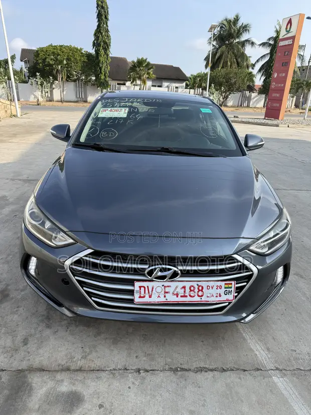 Hyundai Elantra 2017 Gray - 1