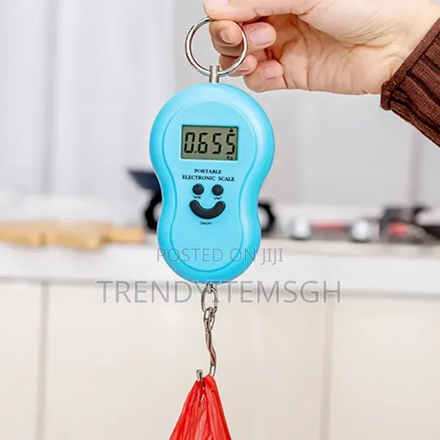 Portable Digital Hanging Scale 50kg - 1