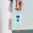 Portable Digital Hanging Scale 50kg - 2