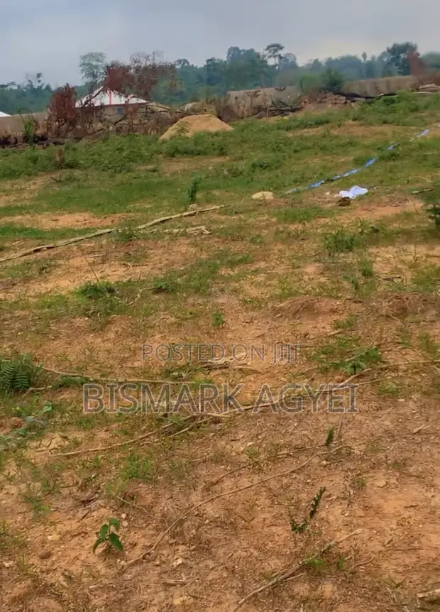 Residential Plot for Sale in Atwima Nwabiagya - 1