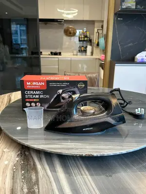 Brand New Ceramic Steam Iron