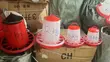 6kg Hanging Chicken Feeder - 2