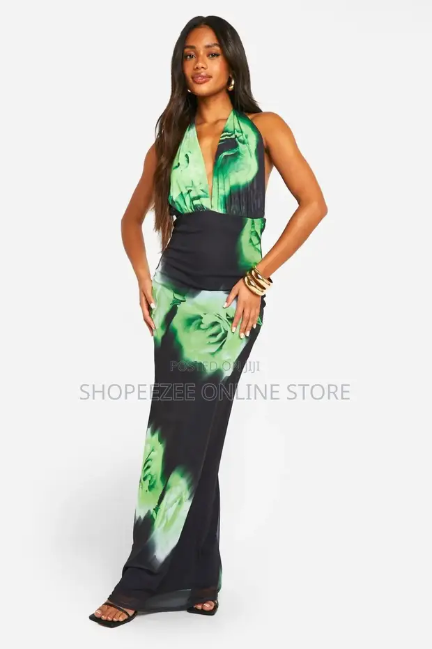 Floral Mesh Plunge Maxi Dress - 1