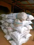 Organic Ginger (Big Sack) - 2