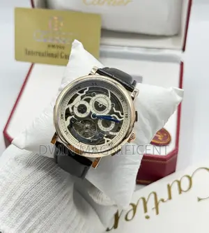 Cartier Automatic Intricate Skeleton Dial Watch