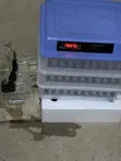 Automated Egg Incubator (200 Capacity) - 1