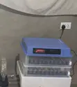 Automated Egg Incubator (200 Capacity) - 2