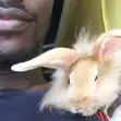 Free Rabbit Consultation and Treatment Guide - 1