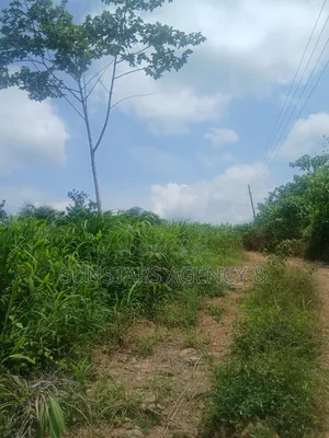 Land for Sale at Tonklo, Hohoe
