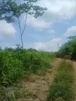 Land for Sale at Tonklo, Hohoe - 1