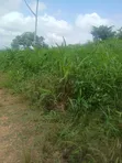 Land for Sale at Tonklo, Hohoe - 2