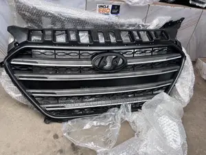 Hyundai Elantra GT Grille (2013-2018)