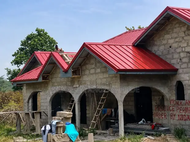 Dickanga - Africa Pride Roofing Services - 1
