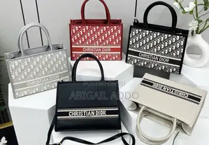 Luxury Dior Inspired Ladies Handbag