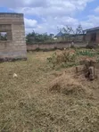 Uncompleted Chamber and Hall Plot for Sale - 4