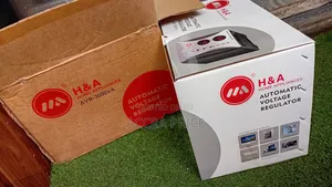 Voltage Leaders Voltage Regulator 3000VA