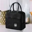 Insulated Lunch Bags - 2