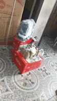 Decakila Portable Spot Cleaner 400W - 2