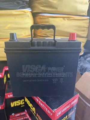 Visca 12V 45Ah Battery - Big Pole/Terminal