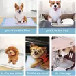 Pet Enclosure for Small Dogs & Cats - 5