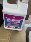 Patholyte Disinfectant - 2