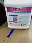 Patholyte Disinfectant - 3