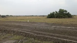 Land Survey and Documentation Services