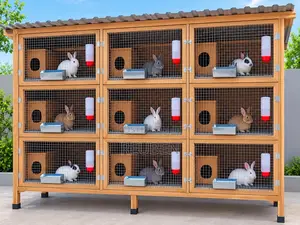 Durable Poultry and Rabbit Cages