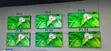 LED Screen Panels - Factory Direct - 2