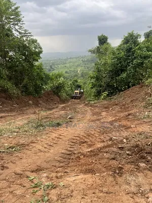 Registered Plot of Land at Mamfe, Akuapim