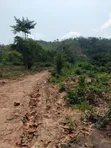 Registered Plot of Land at Mamfe, Akuapim - 3