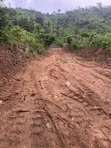 Registered Plot of Land at Mamfe, Akuapim - 4
