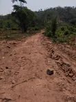 Registered Plot of Land at Mamfe, Akuapim - 5