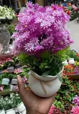 Artificial Flower Pot (WP2) - 1