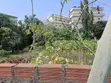 3 Plots of Titled Land with Boys Quarters, East Legon Mmpeasem - 2