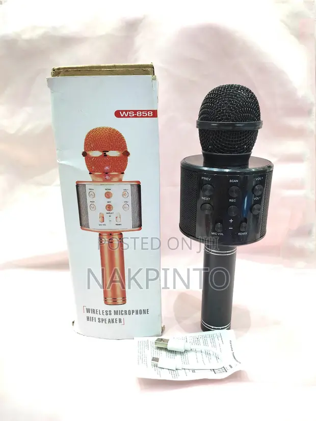 Handheld KTV Wireless Microphone Hi-Fi Speaker WS-858 - 1