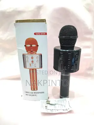 Handheld KTV Wireless Microphone Hi-Fi Speaker WS-858
