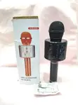 Handheld KTV Wireless Microphone Hi-Fi Speaker WS-858 - 1