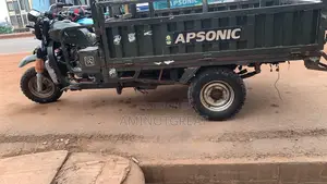 Apsonic AP200GY-7 2024 Three-Wheeler - Green