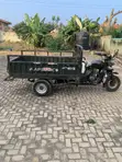 Apsonic AP200GY-7 2024 Three-Wheeler - Green - 2