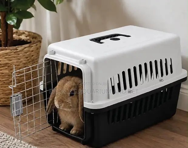 New Neon Rabbit Cage - 1