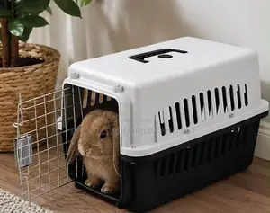 New Neon Rabbit Cage