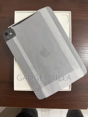 Apple iPad Pro 11" (2024) 256GB Gray