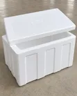 55L EPS Foam Cooler Box for Cold Storage - 1