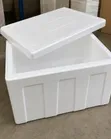 55L EPS Foam Cooler Box for Cold Storage - 2