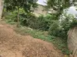 Half Plot of Land for Sale at Ablekuma - 2